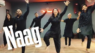 Naag  Jazzy b  The Naag jam  Bhangra  Easy Bhangra Choreography The Dance Mafia bhangra naag [upl. by Yaf627]