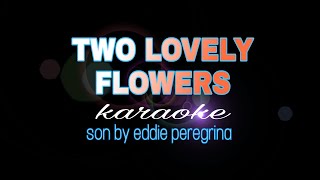 TWO LOVELY FLOWERS eddie peregrina karaoke [upl. by Halland]