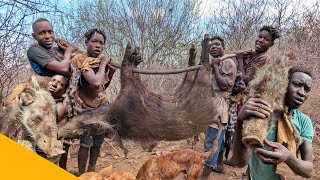 Hadzabe Tribe  Bush Pig Hunt Successful [upl. by Culley]