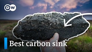 This piece of dirt can suck up LOADS of carbon [upl. by Anidem]