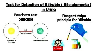 Test for Detection of bilirubin Bile pigments in urine  Fouchets test  what is bilirubinuria [upl. by Charron]