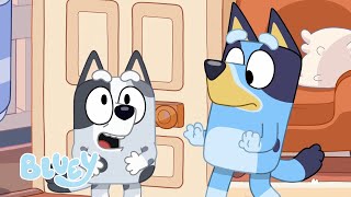 🔴LIVE Full Episodes from Series 1  Bluey [upl. by Rhona]