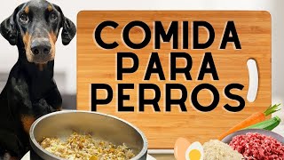 COMIDA PARA PERROS  RECETA CON CARNE MOLIDA  FACIL NUTRITIVA [upl. by Acemaj439]