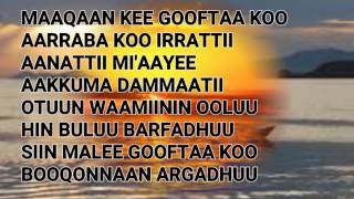 Oromo SongsDesta Hinsermu MAQAAN KEE GOOFTAALyrics [upl. by Hacceber174]