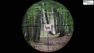 Swarovski Z8i 2318x56 P Reticle 4AI  Reticle Subtensions [upl. by Iviv696]