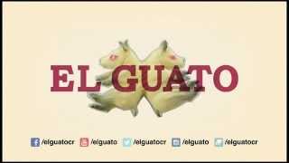 El Guato  Aprovéchate de mí Lyrics Video [upl. by Ynnal]