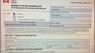 EI Reporting to Service Canada with Vacation Pay amp Statutory Holiday Cashout Part 2 [upl. by Eveivaneg]