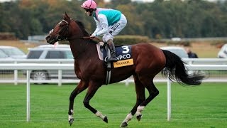 Frankel  The Wonder Horse All 14 Wins [upl. by Eba831]