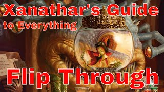 New Paladin Oaths Xanathars Guide  Dungeons and Dragons [upl. by Dorris]