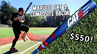 Hitting with the MARUCCI CAT 9 COMPOSITE BBCOR  2022 Baseball Bat Review [upl. by Kamerman]