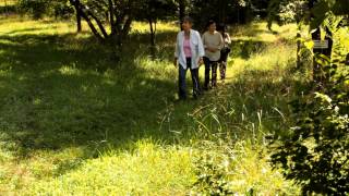 Abbey of Gethsemani  A Walk to the Statues [upl. by Attenna]