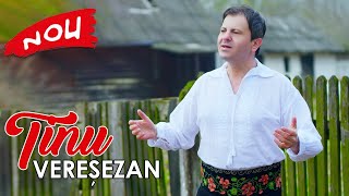 Tinu Veresezan  Ca si vantul sau dus anii NOU [upl. by Jesse]