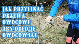 Jak przycinać drzewa owocowe aby obficie owocowały [upl. by Eillam]