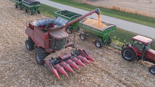 Corn Field Harvest 2024 Near Herscher IL [upl. by Thordia]