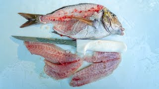 How to Fillet Porgy Scup Dexter Outdoors [upl. by Eizzil]