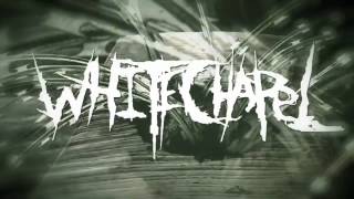 Whitechapel  Prostatic Fluid Asphyxiation LYRIC VIDEO [upl. by Starkey]