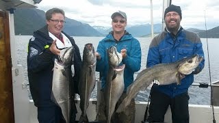 Fishing coalfish in the Romsdalsfjord [upl. by Nnyletak]