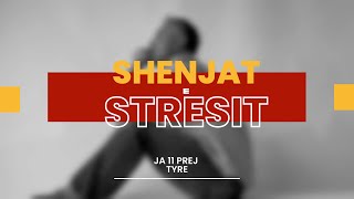 Shenjat e stresit [upl. by Venu]