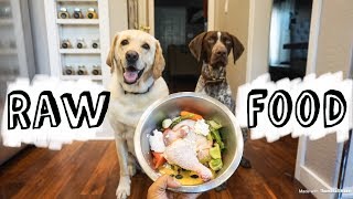 RAW FOOD DIET for Dogs [upl. by Stefano815]