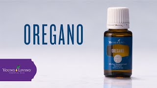 Oregano Essential Oil Benefits amp Uses  Young Living Essential Oils [upl. by Ailemor]