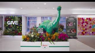 Virtual tour of the Macy’s Flower Show [upl. by Auqinot]