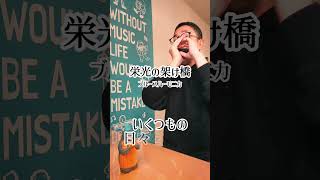 『栄光の架け橋／ゆず』ブルースハーモニカ（Ｃ） [upl. by Solram]