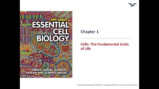 All about Cells The fundamentals units of life [upl. by Retrop456]