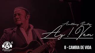 Anthony Santos  Cambia de vida  Audio oficial [upl. by Ahsoik]