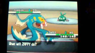 How to get EXP Share in Pokemon Black and White [upl. by Salzhauer267]