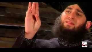 BULALO YA RASULALLAH  HAFIZ AHMED RAZA QADRI  OFFICIAL HD VIDEO  HITECH ISLAMIC  BEAUTIFUL NAAT [upl. by Ramonda161]