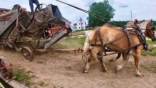 HOW THE AMISH THRESH OATS Watch the full process [upl. by Vivianna]