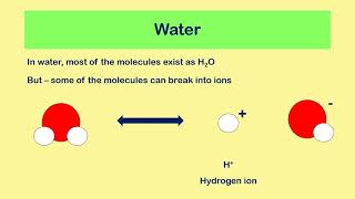 Acids and Bases [upl. by Lasser618]