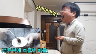 취두부초콜릿으로 조지기ㅋㅋ [upl. by Mundford]