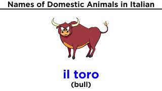 Italian Vocabulary Domestic Animals [upl. by Emmett]