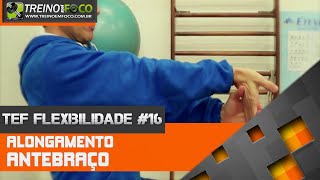 Como alongar a musculatura do Antebraço  TEF Flexibilidade 16 [upl. by Aynwat533]