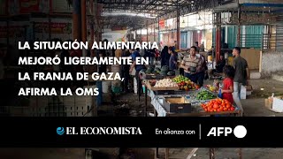 La situación alimentaria mejoró ligeramente en la Franja de Gaza afirma la OMS [upl. by Ayahsey]