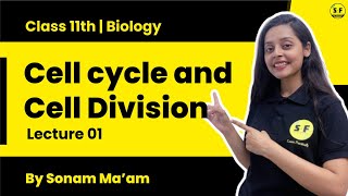 Cell Cycle and Cell Division Class 11 Biology  Revised NCERT Solutions  Chapter 10 Questions 116 [upl. by Nnateragram213]