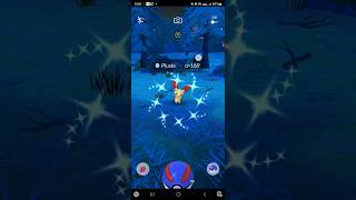 ✨ Shiny Plusle Caught Pokemon Go pokemon pokemongo pokémongo [upl. by Heimer]