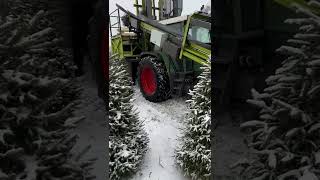 Christmas trees packing in Lithuania [upl. by Rimaj]