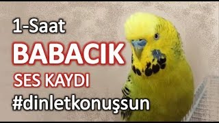 Babacık ses kaydı reklamsız dinletkonuşsun [upl. by Analim]