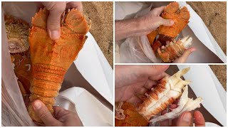 How to DeShell Seafood  Moreton Bay Bug  Balmain Bug  Slipper Lobster  Crayfish  Hack [upl. by Sirroned]