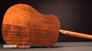 Breedlove Acoustic Guitars Discovery Dreadnought Guitar [upl. by Florine809]