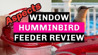 Aspects WINDOW Hummingbird Feeder  Review amp Unboxing Actual Footage of Hummingbirds at the end [upl. by Acissehc]