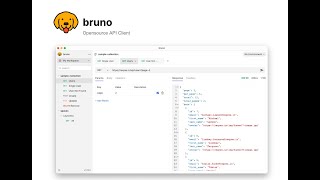 Bruno 1  Opensource API Client [upl. by Ashwell]