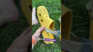 Classic All Terrain Crocs Review [upl. by Nellda]