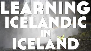 Learning Icelandic In Iceland║Lindsay Does Languages Video [upl. by Portuna447]