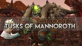 Tusks of Mannoroth drop  World of Warcraft  Siege of Orgrimmar Solo [upl. by Joey]