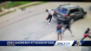 Dog attacks child man who intervened in Price Hill [upl. by Nnek]