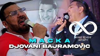 DJOVANI BAJRAMOVIC  MACKA OFFICIAL AUDIO [upl. by Kirt]