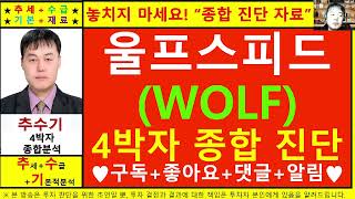 울프스피드WOLF종목진단및향후주가전망 추수기추수전문가 [upl. by Yelnikcm]